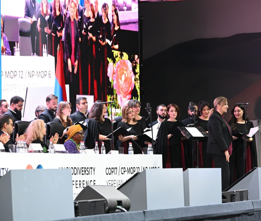 cop17armeniaye26298_DHEE9.jpg