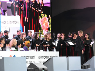 cop17armeniaye26298_DHEE9.jpg